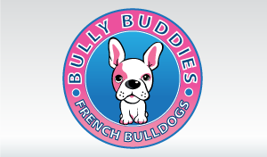 BullyBuddiesFrenchBulldogs